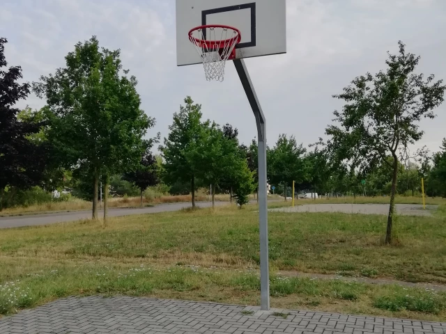 Basketball Court Ihletal