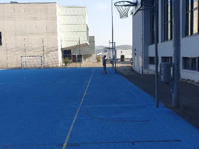 Profile of the basketball court Primarschule Au, Lauffohr, Switzerland