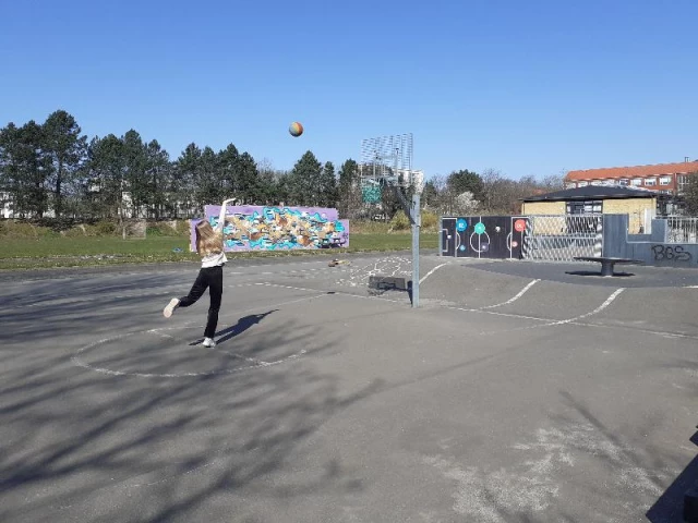 Profile of the basketball court Hendriksholms Skole Kids, Rødovre, Denmark