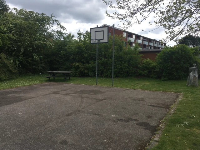 Profile of the basketball court Taarnbyparken, Kastrup, Denmark
