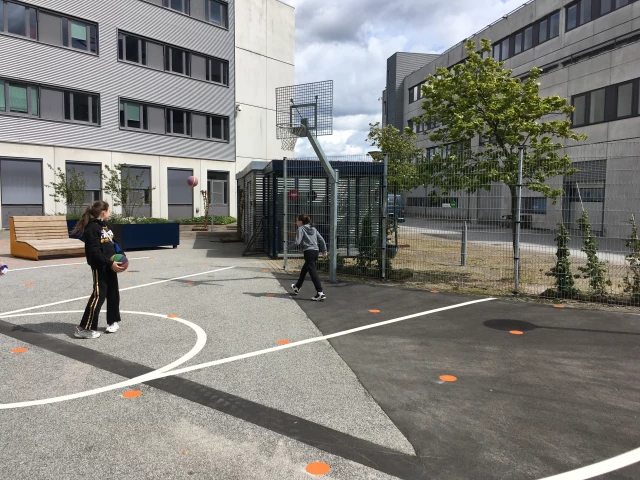 Profile of the basketball court Aalborg University, København, Denmark