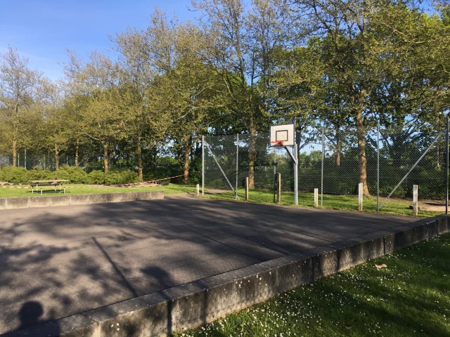 Profile of the basketball court Kastrupgårdskolen SFO, Kastrup, Denmark