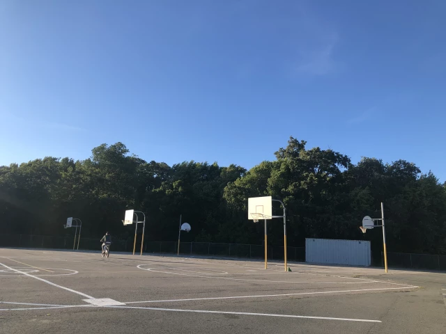 Ton of Basketball Courts