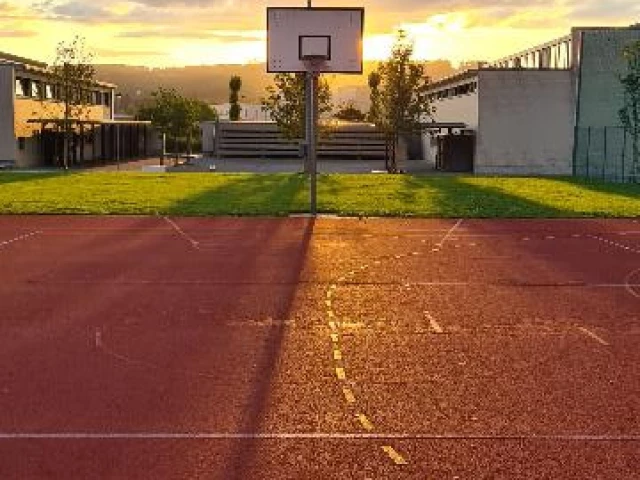 Profile of the basketball court Kingjoshua's court, Würenlingen, Switzerland