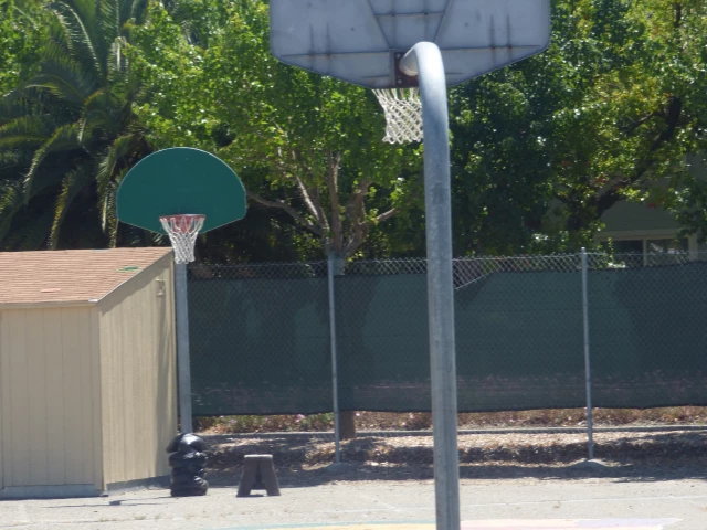 Profile of the basketball court Novato Charter School, Novato, CA, United States