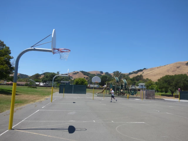 Basketball Court Shots