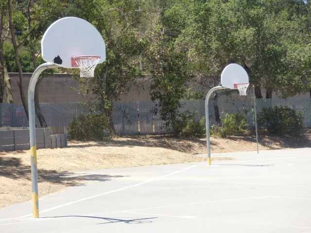 Basketball Court at Hamilton