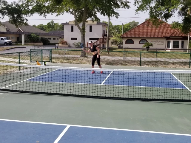 Profile of the basketball court 4 PickleBall Courts, Crystal River, FL, United States