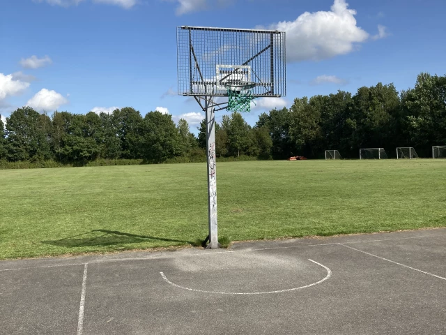 Profile of the basketball court Allerød Gymnasium, Lillerød, Denmark