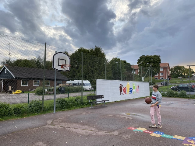 Profile of the basketball court Svärdsjö School, Svärdsjö, Sweden