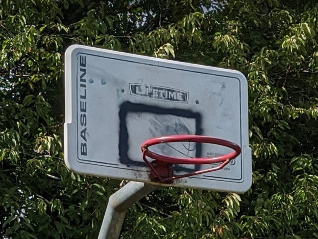 Backboard and ring, Tubbenden Park, Sep 2020