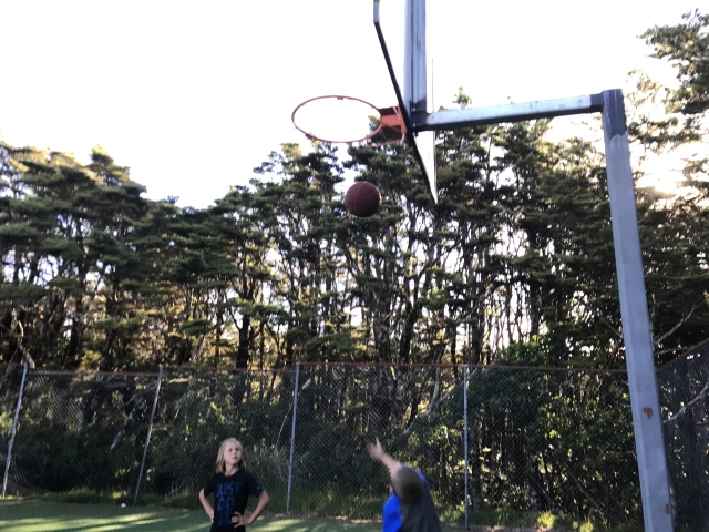 Tongariro National Park - Basketball Hoop