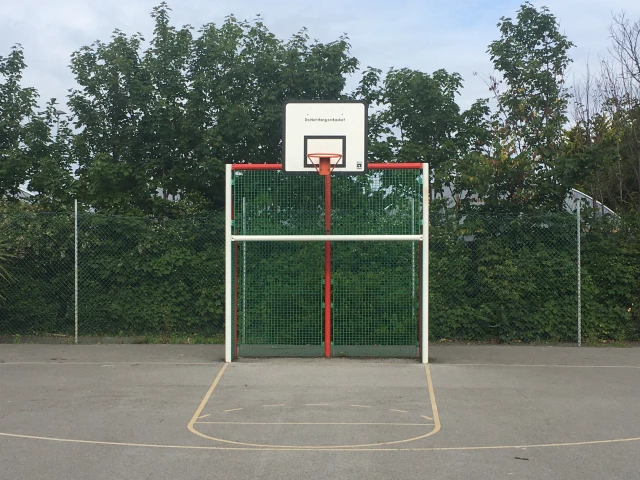 Profile of the basketball court Botanical Gardens Court, Rhyl, United Kingdom