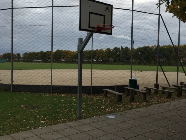 Profile of the basketball court Rosenlund skolen, Skovlunde, Denmark