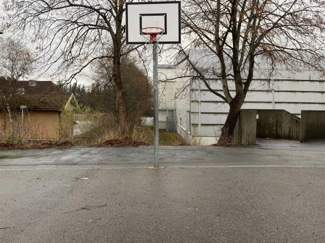 Basketball Court Bergtorpsskolan in Täby Hoop