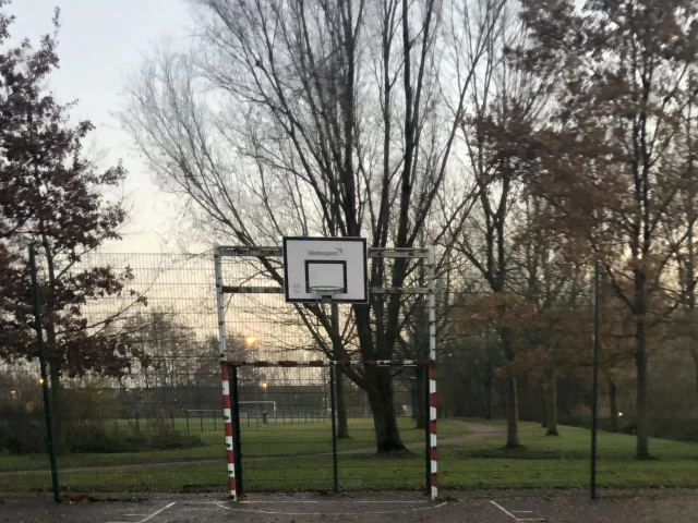 Profile of the basketball court Houtvoort Court, Sint-Gillis-Waas, Belgium