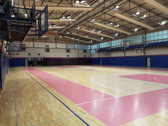 Profile of the basketball court Mega Factory Sports Hall, Beograd, Serbia