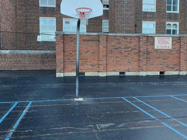 Profile of the basketball court Cossitt Ave Elementary School, La Grange, IL, United States