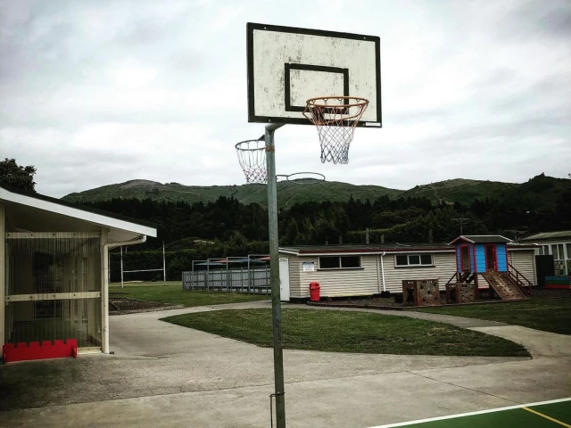 Profile of the basketball court Brookyn School, Brooklyn, New Zealand