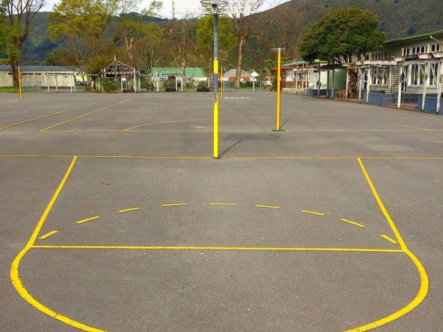 Profile of the basketball court Naenae Primary, Lower Hutt, New Zealand