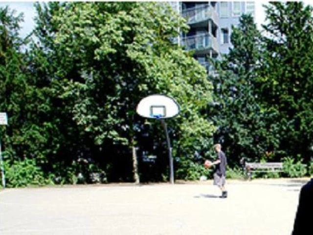Profile of the basketball court Noorderplantsoen, Groningen, Netherlands