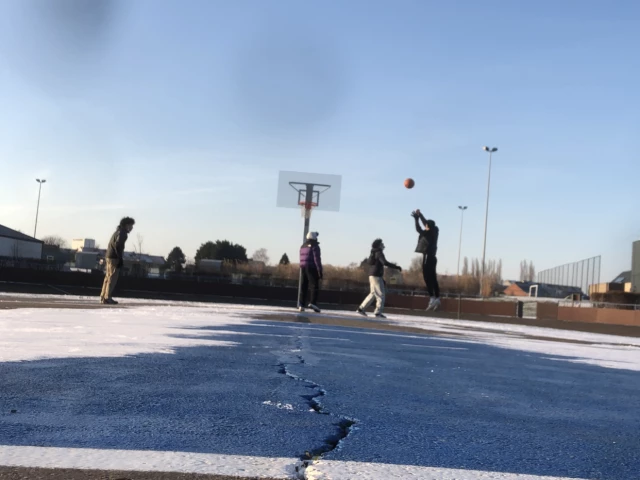 Basketball Court (houtemveld)