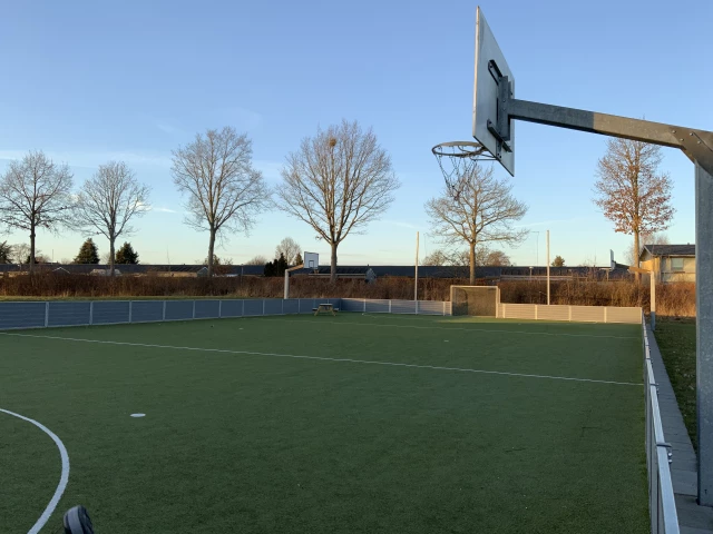 Profile of the basketball court Gymnasiet, Odder, Denmark