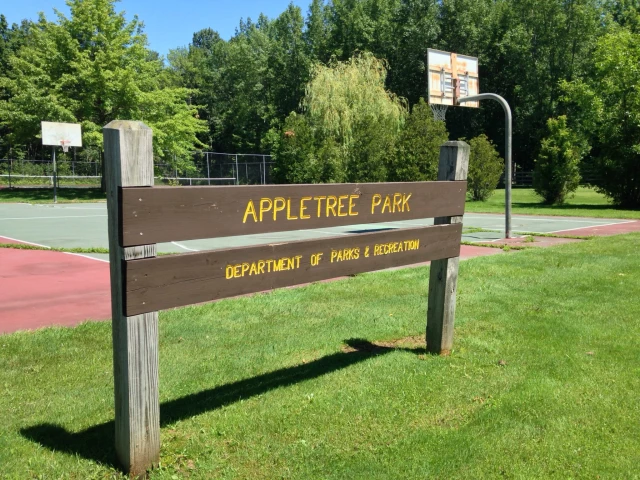 Profile of the basketball court Appletree Park, Burlington, VT, United States