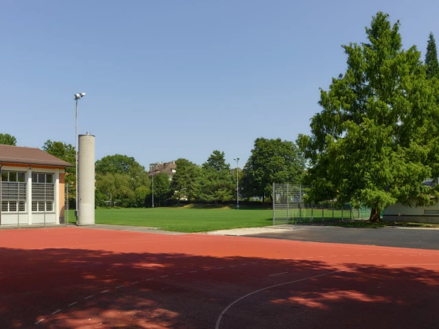 Basketball Court, before it turned into a basketball court