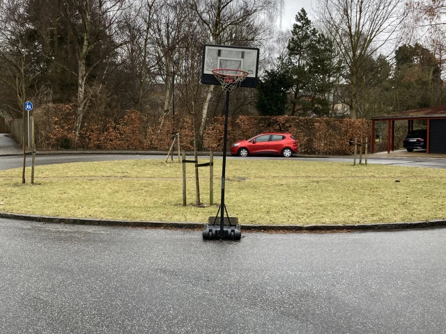 Profile of the basketball court Net at the roundabout, Charlottenlund, Denmark