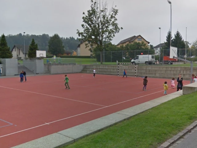 Profile of the basketball court Schulhausdorf Neuheim, Neuheim, Switzerland