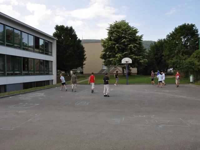 Profile of the basketball court Schule Langmatt, Dulliken, Switzerland