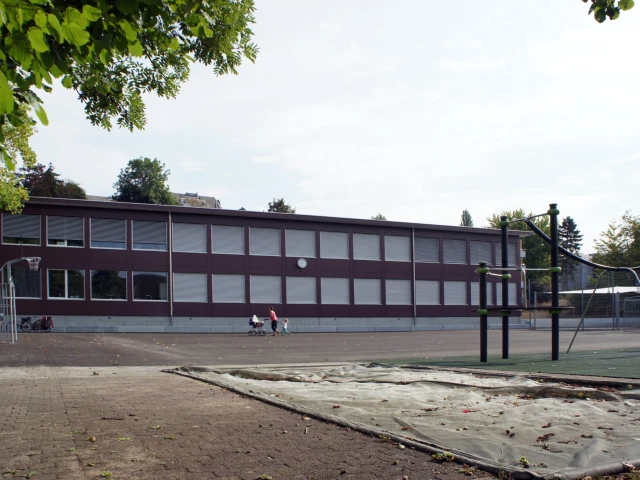 Profile of the basketball court Schulhaus Rebwiesen, Winterthur, Switzerland