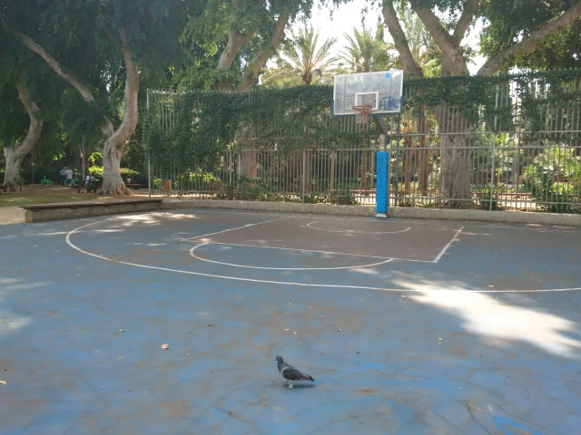Profile of the basketball court Gan Meir, Tel Aviv-Yafo, Israel