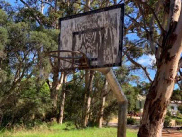 Profile of the basketball court Berridge Park, Denmark, Australia