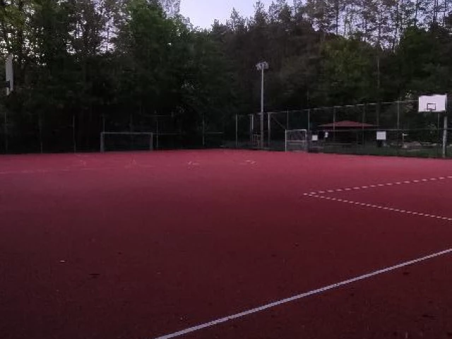 Nice Court