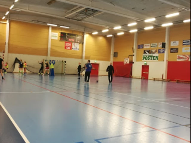 Profile of the basketball court Gustavsbergs Sporthall, Gustavsberg, Sweden