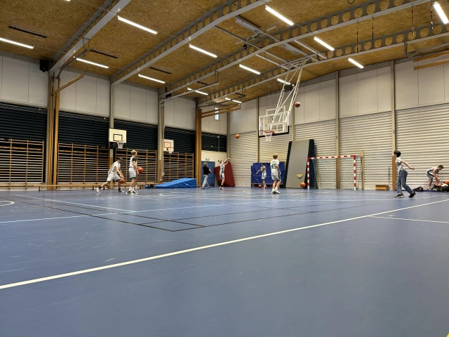 Profile of the basketball court Tippen Sporthall, Saltsjöbaden, Sweden