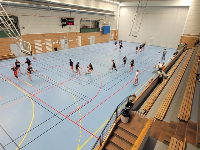Profile of the basketball court Enskedehallen, Årsta, Sweden