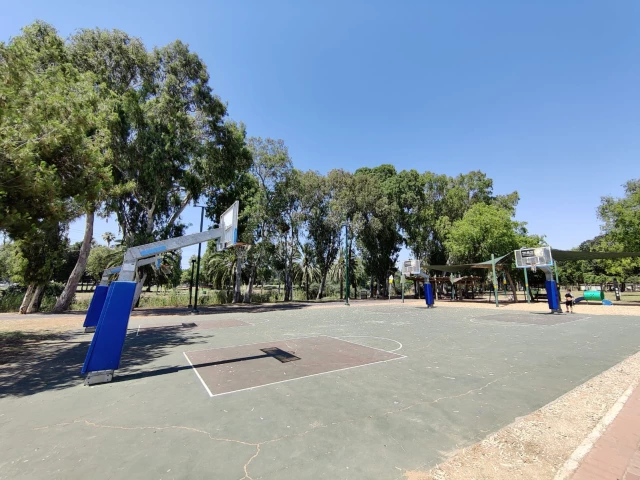 Profile of the basketball court BavliPark, Tel Aviv-Yafo, Israel