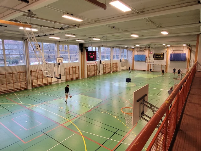 Profile of the basketball court Brandbergshallen, Haninge, Sweden