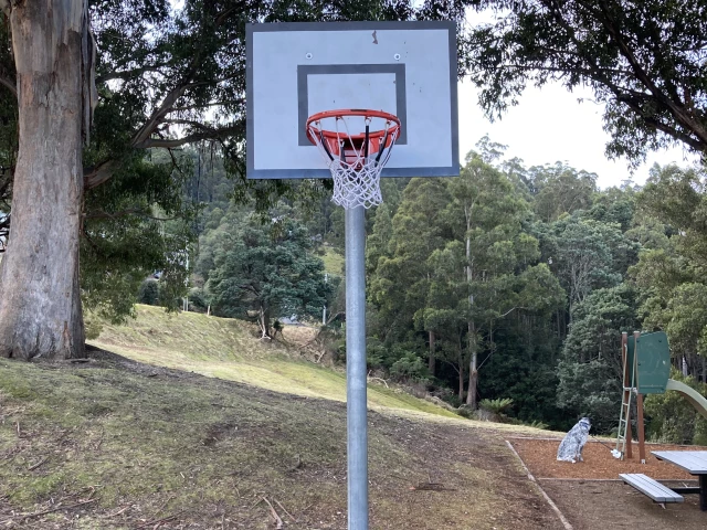 Profile of the basketball court Westringa Playground, Fern Tree, Australia