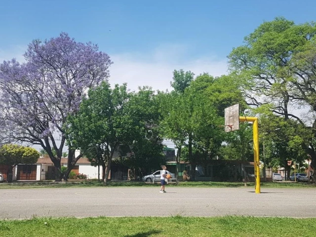 Profile of the basketball court Parque Internacional, Cordoba, Argentina