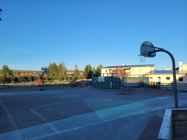Profile of the basketball court Alléskolan, Visby, Sweden