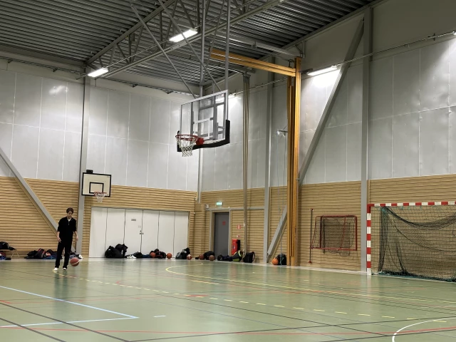 Profile of the basketball court Viahallen, Nynäshamn, Sweden