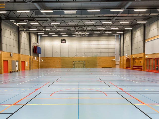 Profile of the basketball court Hölö Allaktivitetshall, Hölö, Sweden