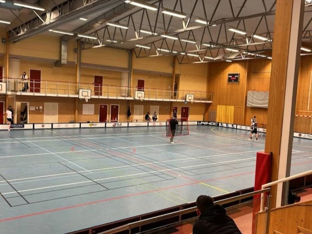 Profile of the basketball court Hedebyhallen, Vagnhärad, Sweden