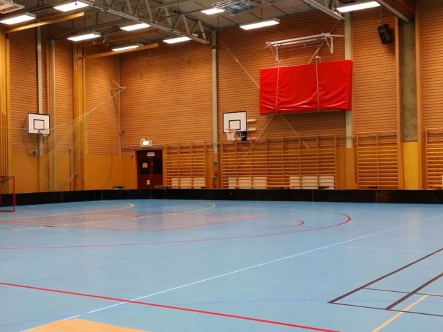 Profile of the basketball court Ärvingehallen, Kista, Sweden