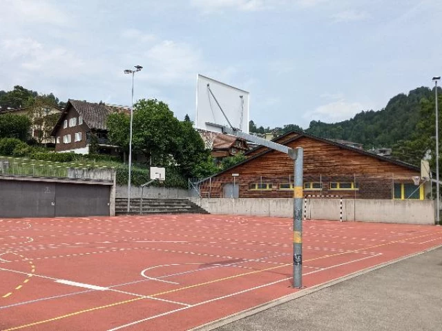 Profile of the basketball court Schulanlage Steinen, Steinen, Switzerland