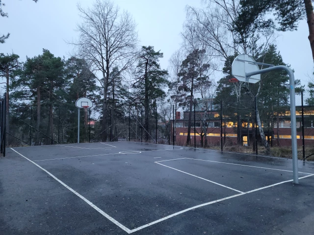 Profile of the basketball court Fribergaskolan, Danderyd, Sweden